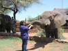 Sharlaine Assur - elephant feeding time in the Pilanesberg!